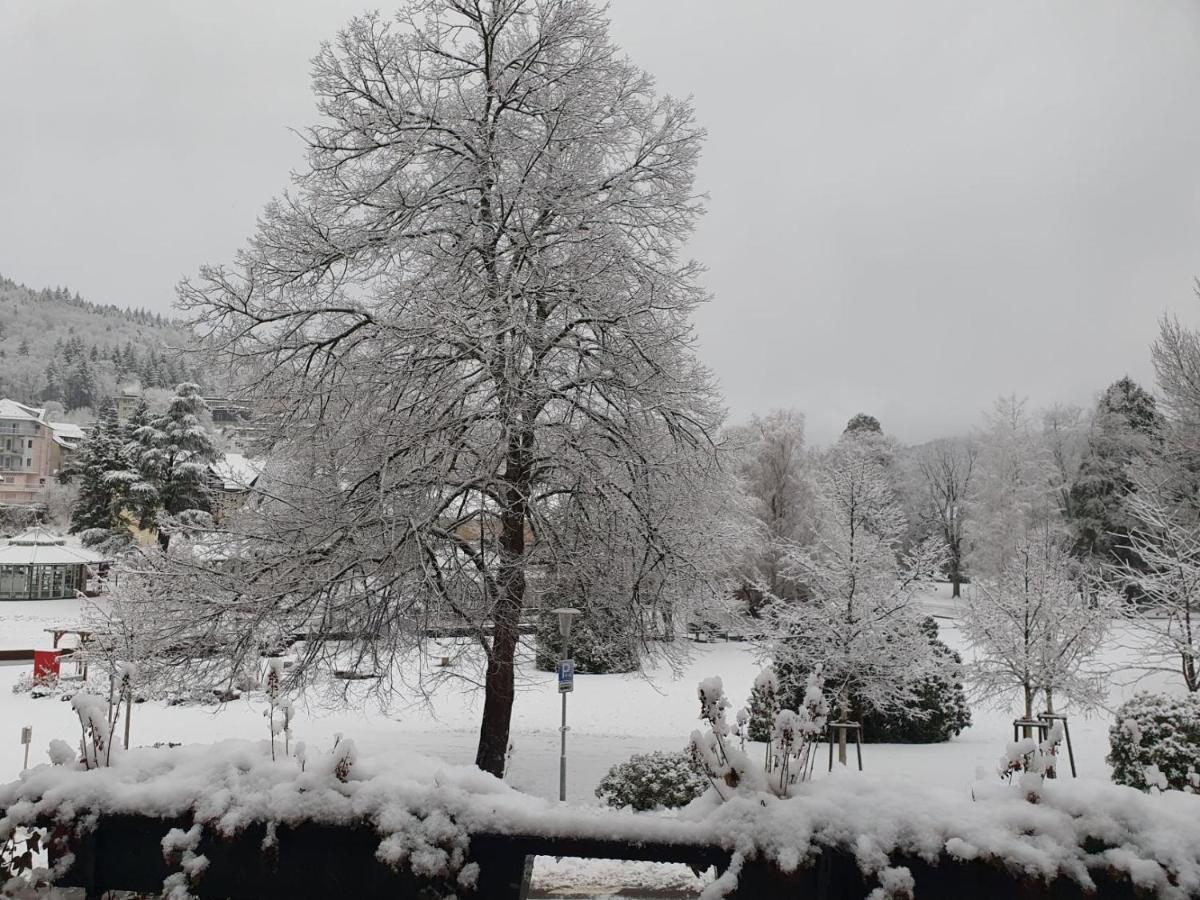Am Klosterviertel Bad Herrenalb Zewnętrze zdjęcie