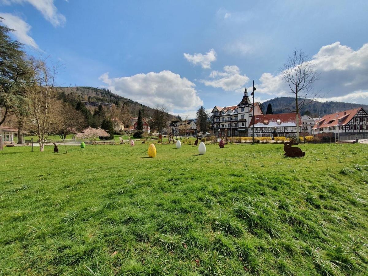Am Klosterviertel Bad Herrenalb Zewnętrze zdjęcie